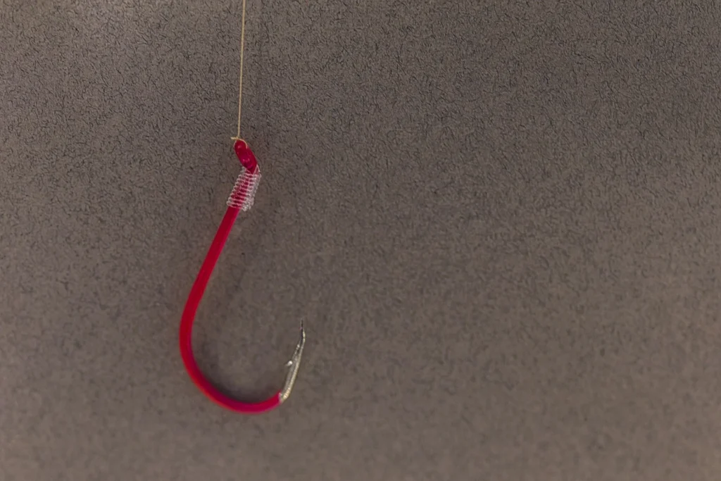 Phishing
