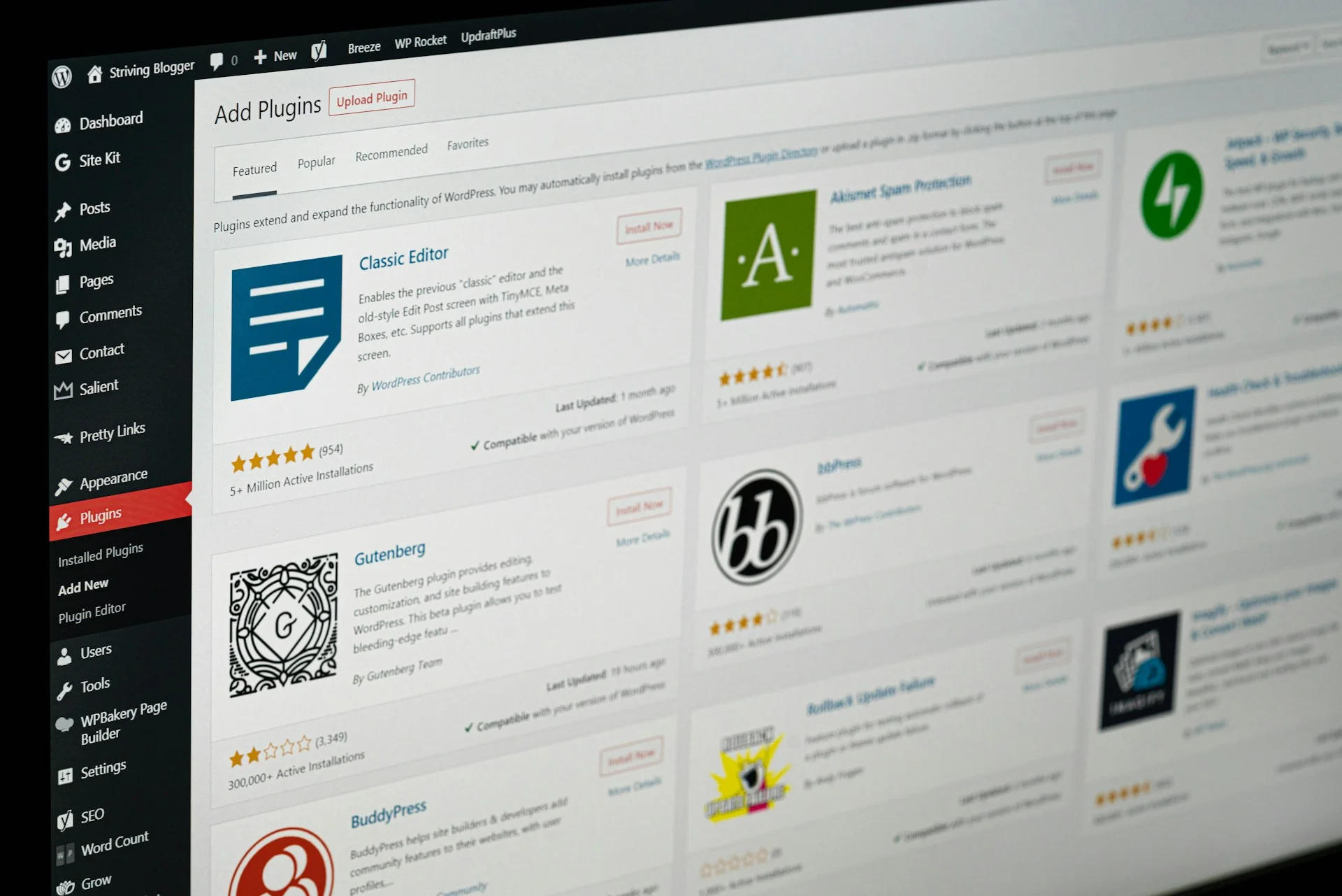 WordPress & Seckhmet